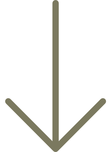 right-1-1.png