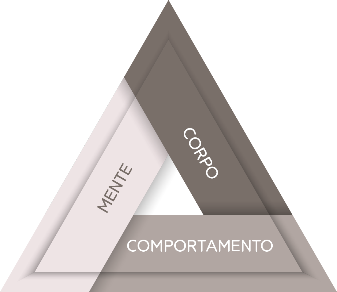 NOVOTRIANGULO