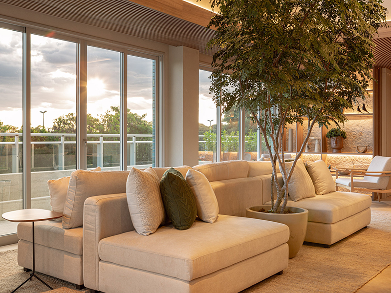 Sensce - Estética 8 5.jpg